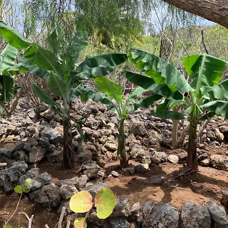 Nyaraló La Casa Tabaiba By Tor Icod de los Vinos