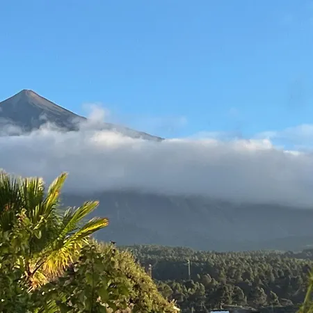 La Casa Tabaiba By Tor Nyaraló *