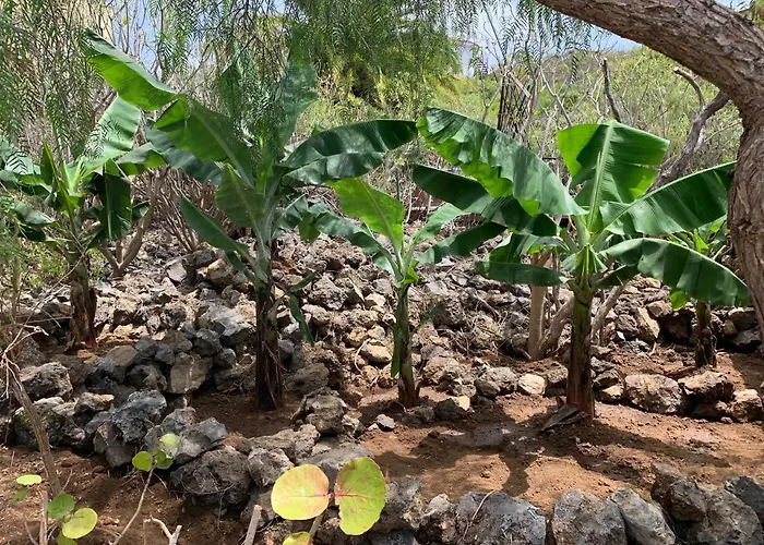 Casa vacanze La Casa Tabaiba By Tor Icod De Los Vinos
