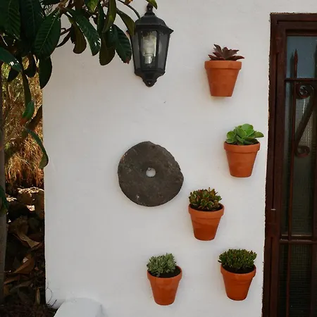 Σπίτι διακοπών La Casa Tabaiba By Tor Icod De Los Vinos